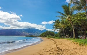 Hawaii travel